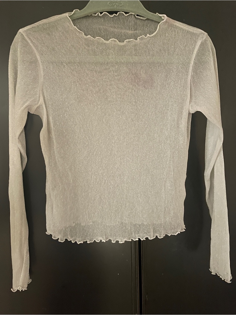 Brandy Melville Sheer Top